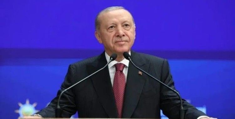 Cumhurbaşkanı Erdoğan: 'Ben dahil hiç kimse eleştirilemez değildir'
